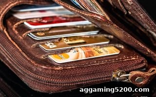 大小球解析：数字货币出款手续费深度成本优化指南