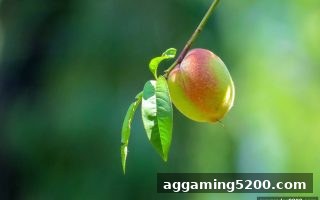 大小球骰宝每日签到福利深度指南：零门槛收益技巧与隐藏玩法